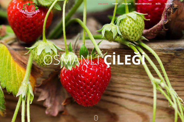 Osmanlı Çileği  Website